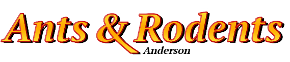 Anderson Ant Exterminator & Rodent Control Company Logo